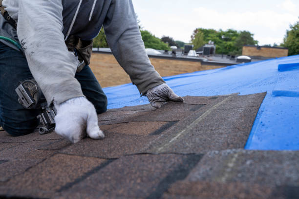 Best Roof Repair Services  in Lawrenceville, VA